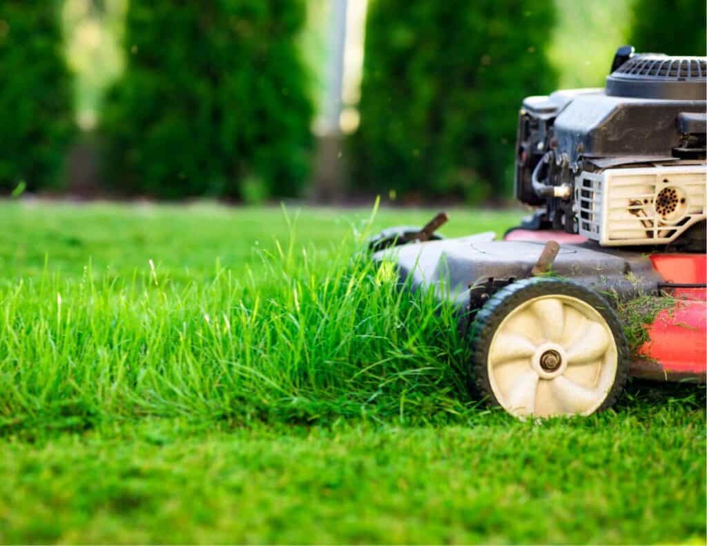 Are Lawn Mowers 2-Stroke? Everything You Need to Know. – Backyard Virtuoso