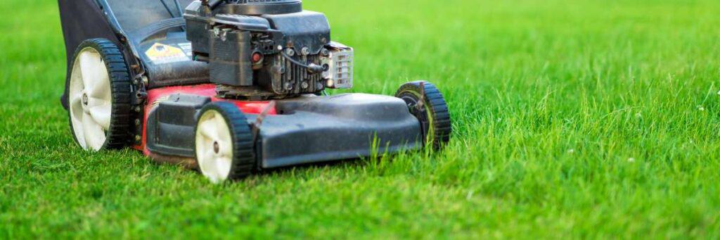 Selecting The Cutting Height For Your Lawn Mower. Enhance the beauty of your lawn by discovering the techniques to determine the ideal cutting height for your lawn mower.