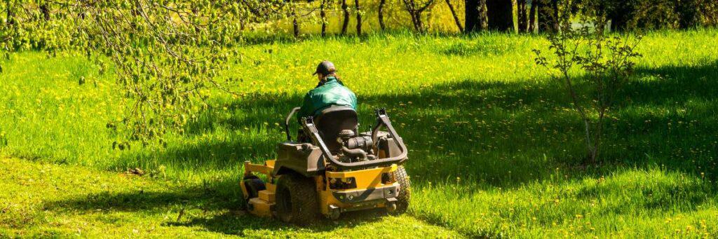 Different Types of Lawn Mowers. Dive into the world of lawn mowers and discover the perfect cutting companion for your specific lawn requirements.